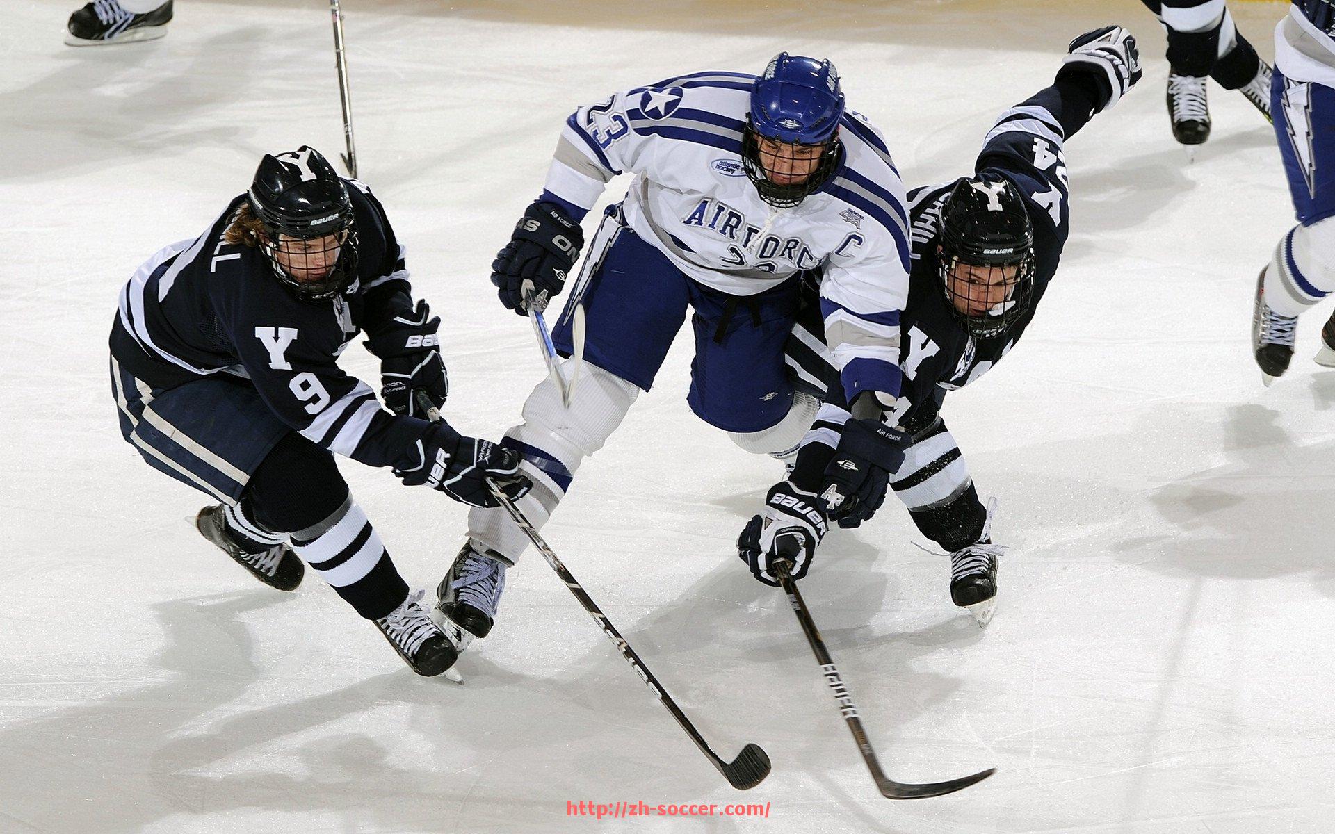 足球直播-健身器材大全之健臂训练设备分类与使用攻略